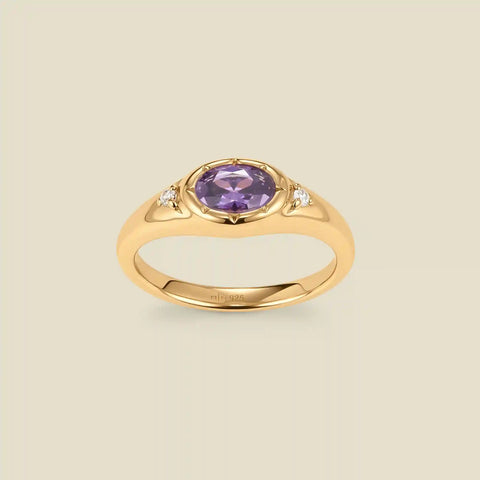 February Oval Birthstone Signet Ring